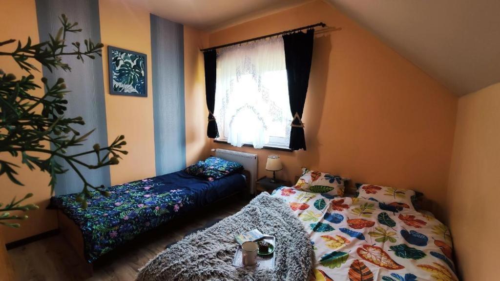 Apartamenty Pilsko Korbielów Dış mekan fotoğraf